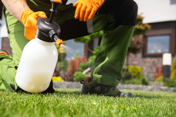 Best Pest Control Near Me  in Redlands, CO