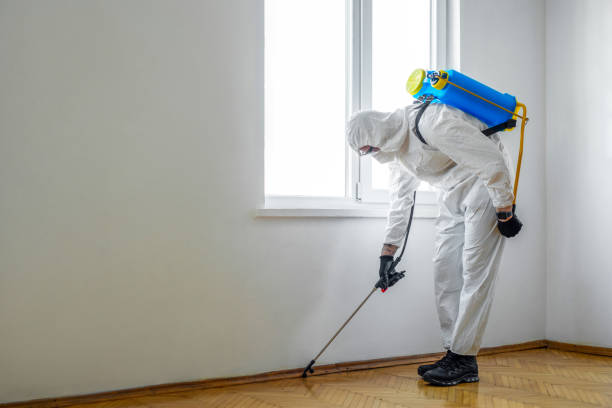 Best Pest Removal Services  in Redlands, CO