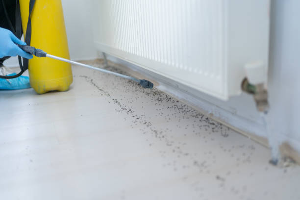 Best Pest Inspection Near Me  in Redlands, CO